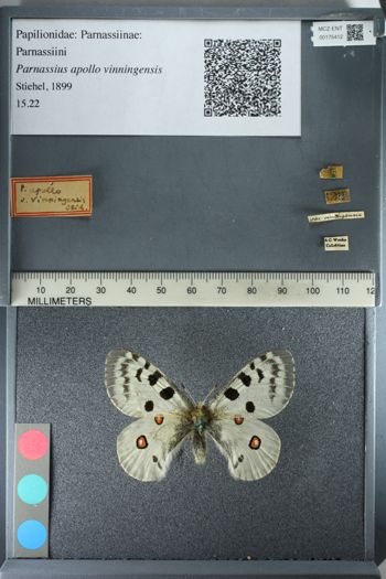 Media type: image;   Entomology 175412
